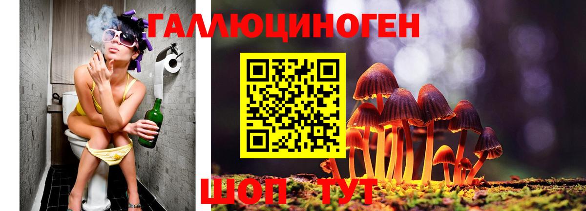 Галлюциногенные грибы Psilocybine cubensis  Псилоцибиновые грибы Cubensis  Волжский  Вход с VPN 