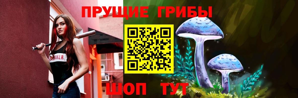 Галлюциногенные грибы GOLDEN TEACHER  Псилоцибиновые грибы Psilocybine cubensis  что такое наркотик  Волжский 